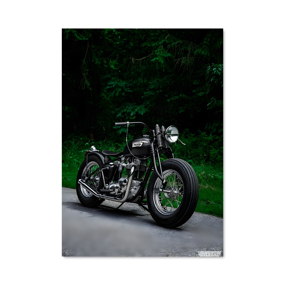 Poster Bobber Bonneville sophistiqué